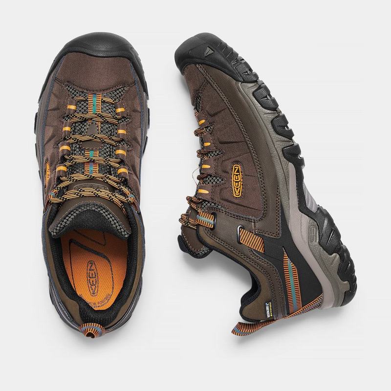 Keen Targhee Exp Waterproof Mens Hiking Shoes Brown NZ (2670-UKDXH)